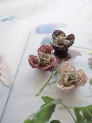 ビオラのブローチ（ピンク系）