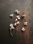 綿花のアクセサリー